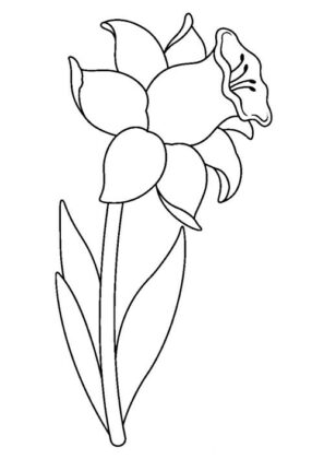 flores para colorir
