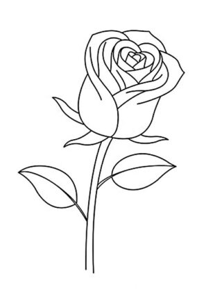 flores para colorir