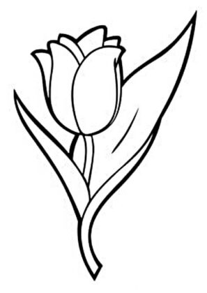 flores para colorir