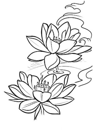 flores para colorir