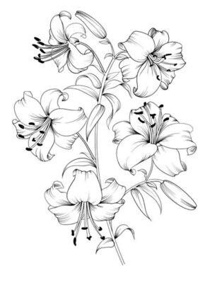 flores para colorir e imprimir
