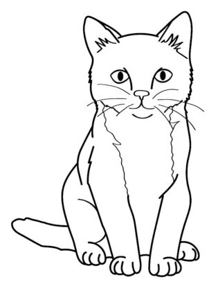 gatinho para colorir