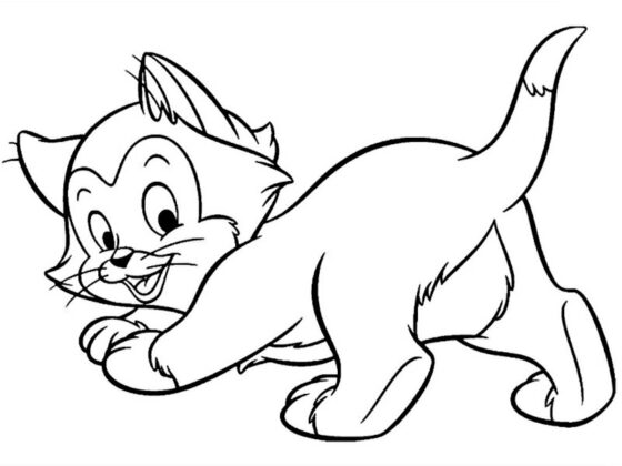 gatinho para colorir