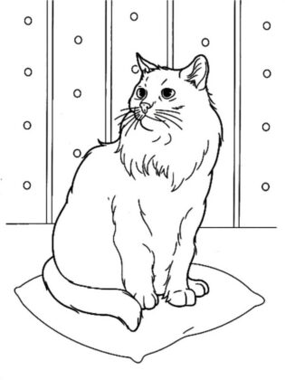 gato para colorir