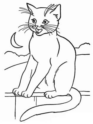 gato para colorir