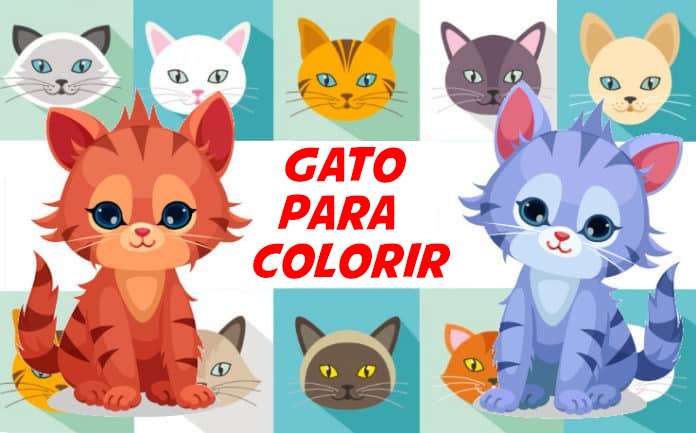 40 Imagens de Desenhos de Gatos Fofos para desenhar E Colorir