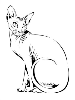 gato para colorir