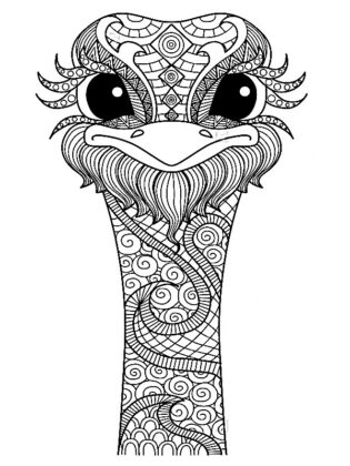 mandalas para colorir