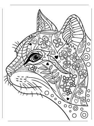 mandalas para colorir