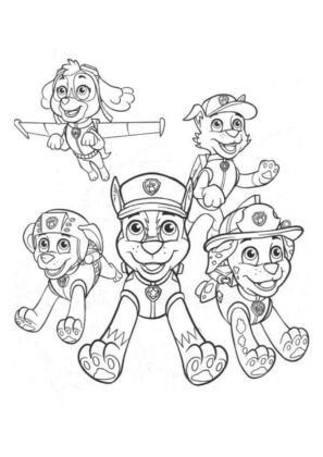 patrulha canina para colorir