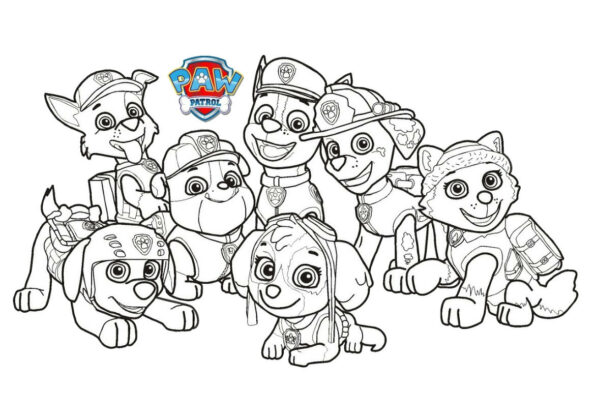 patrulha canina para colorir