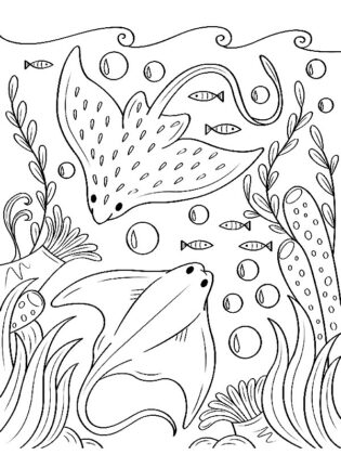 desenho de peixe para colorir