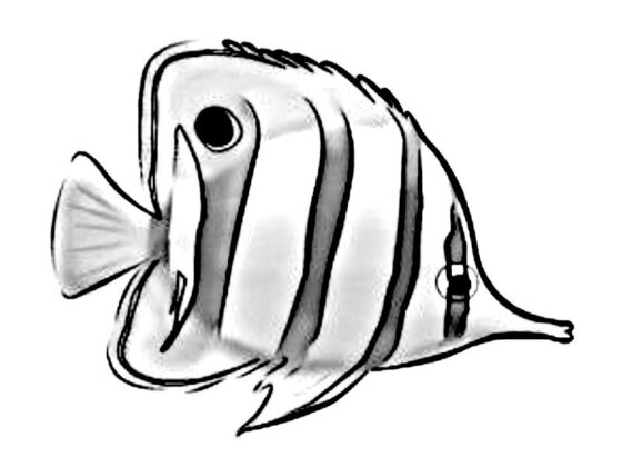 desenho de peixe para colorir