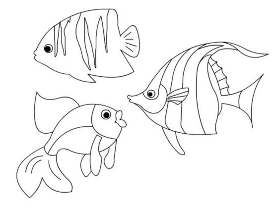 desenho de peixes para colorir