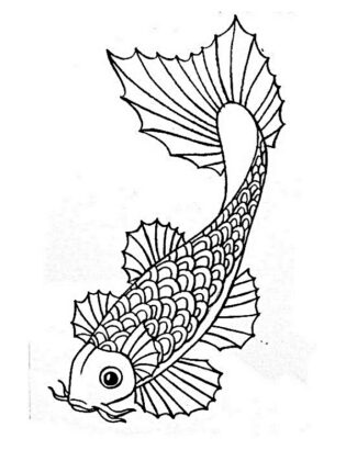 desenhos de peixes para colorir
