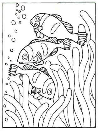 peixe para colorir