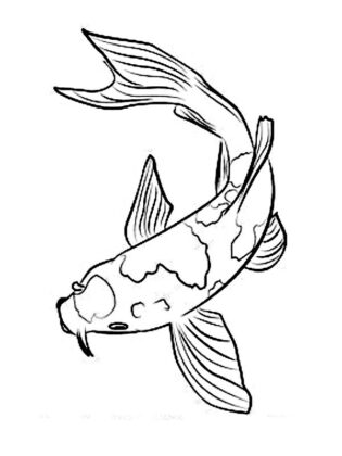 peixes para colorir