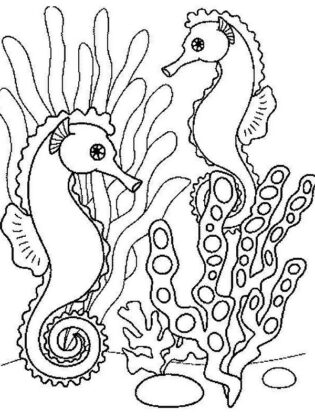 peixes para colorir