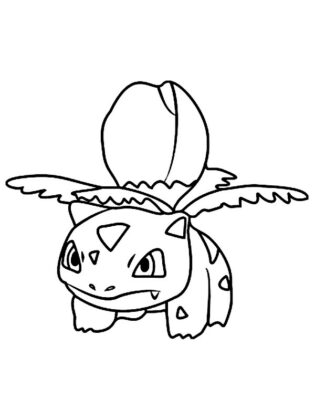 desenhos bubasauro