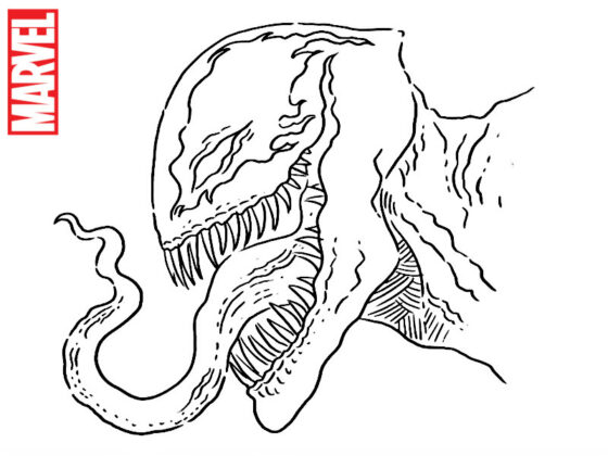 venom desenho