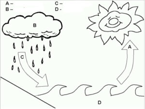 ciclo da água desenho