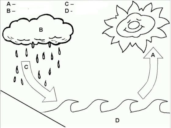 ciclo da água desenho