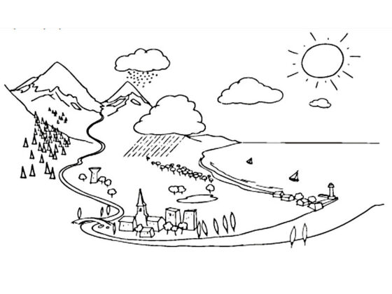 ciclo da agua para colorir