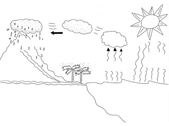 desenho do ciclo da agua