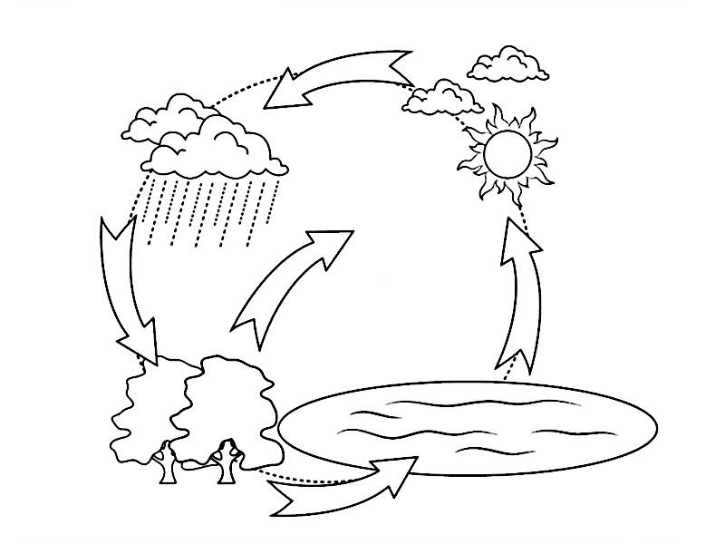 desenho do ciclo da água