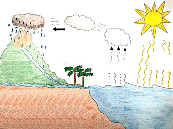 desenho do ciclo da agua