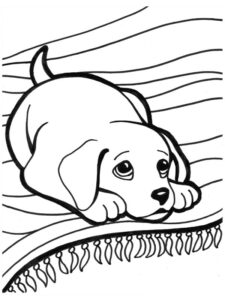 desenhos de cachorrinhos para colorir