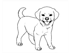 desenhos de cachorro para colorir