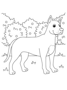 desenhos para colorir cachorro