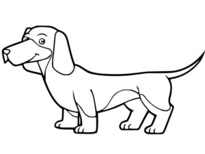 imagem de cachorro para colorir
