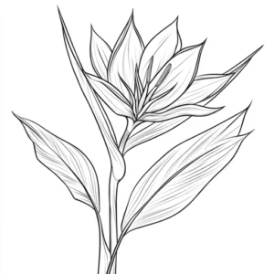 desenhos de flores para colorir