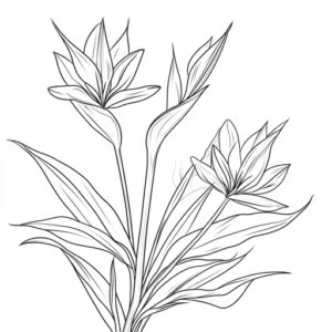 desenhos para colorir flores