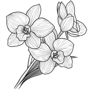 flores para colorir