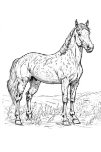 cavalo para colorir