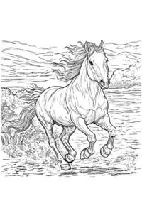 desenho cavalo