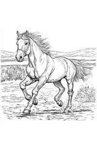 desenho cavalo
