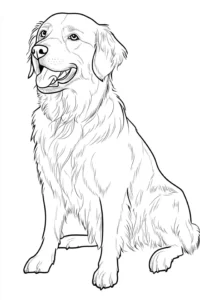 desenho do cachorro