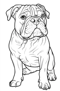 desenhos de cachorro para colorir