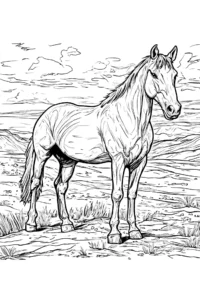 desenhos de cavalos
