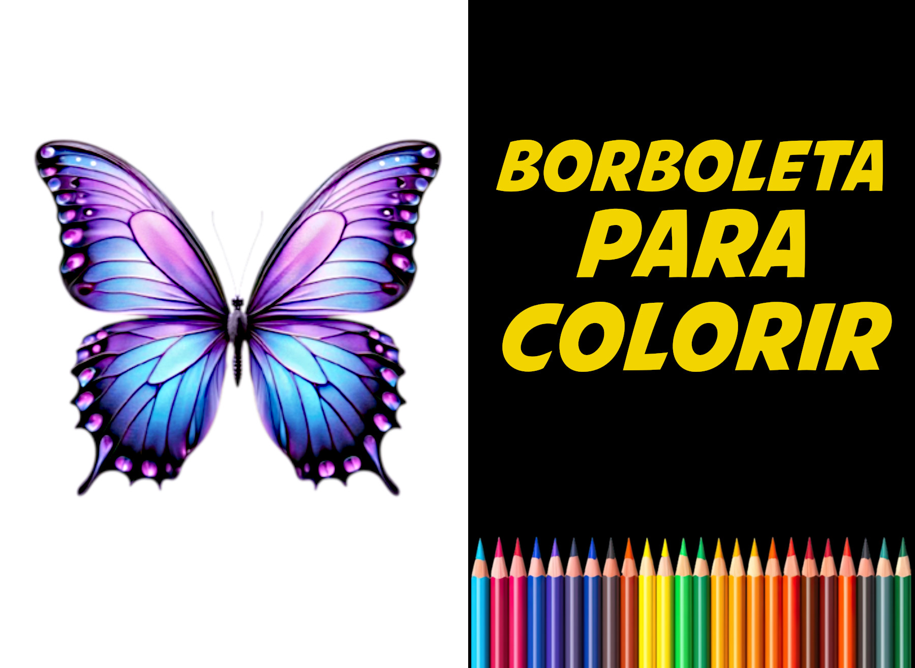 borboleta para colorir