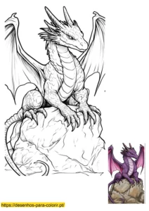 desenhos dragao para colorir