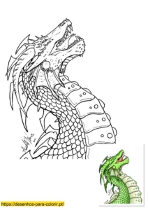 desenhos dragao para colorir